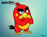 Red de Angry Birds