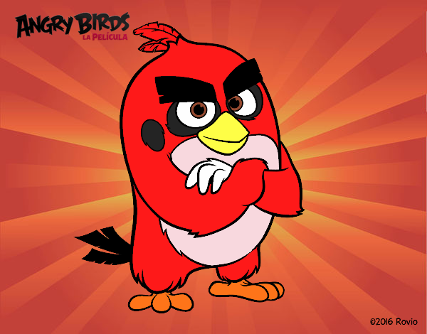 Red de Angry Birds