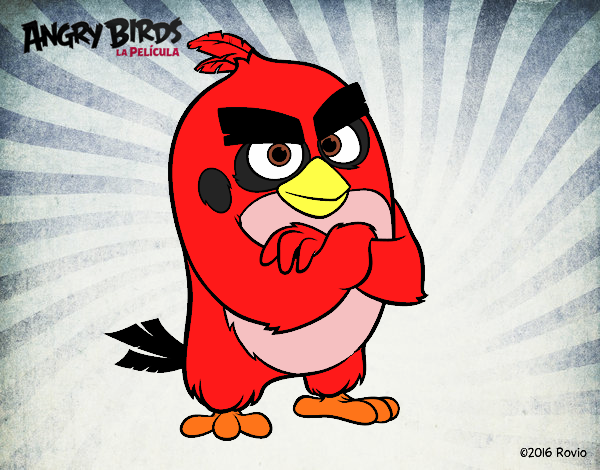 Red de Angry Birds