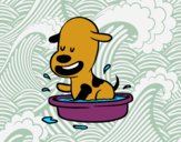 Dibujo Un perrito en la bañera pintado por BOMBERA