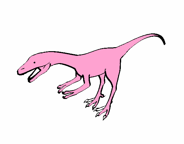 Velociraptor II 1