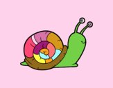 El caracol