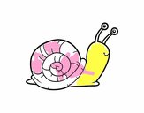 El caracol