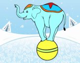 Elefante equilibrista