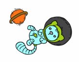 Gatito astronauta