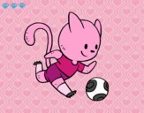 Gato jugando a fútbol