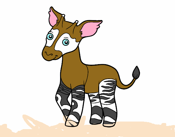 Okapi