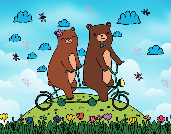 osos en una bicicleta