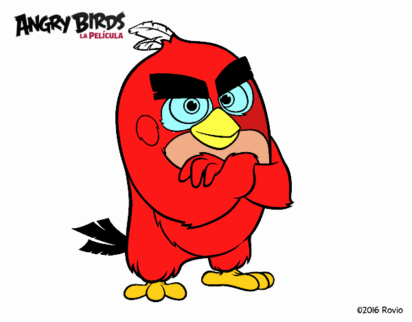 Red de Angry Birds