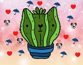 Cactus gato