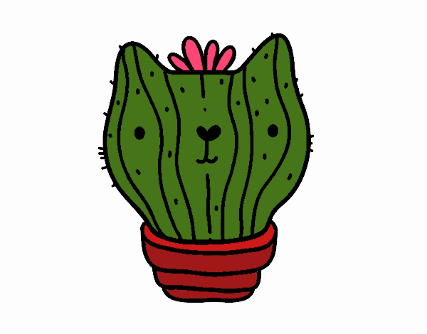 Cactus gato