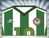 Camiseta del mundial de fútbol 2014 de Nigeria