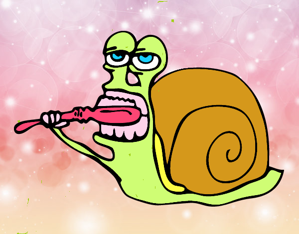 Caracol limpio