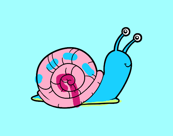 El caracol