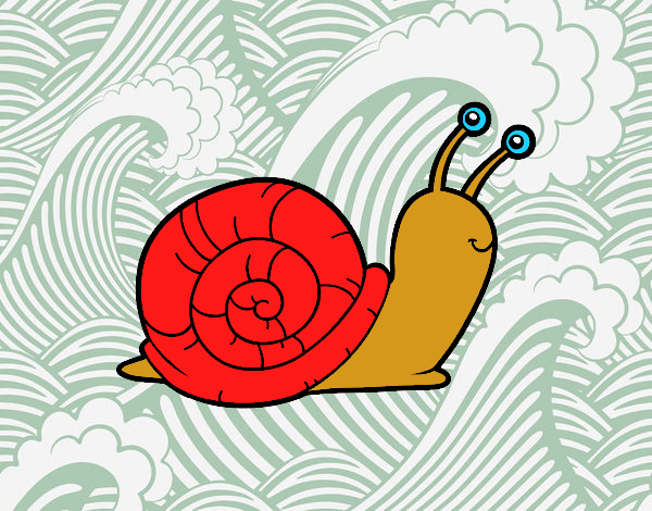 el caracol feliz