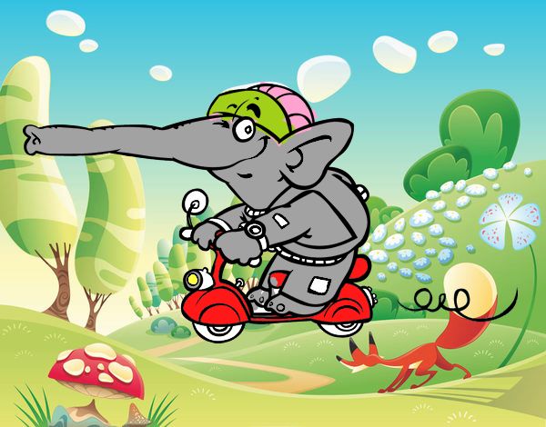 Elefante en moto