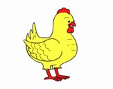 Gallina de una granja