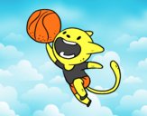 Gato jugando a baloncesto