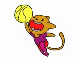 Gato jugando a baloncesto