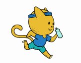 Gato runner