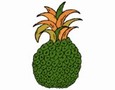 piña