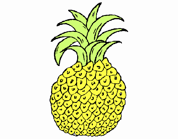 piña