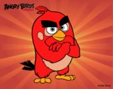 Red de Angry Birds