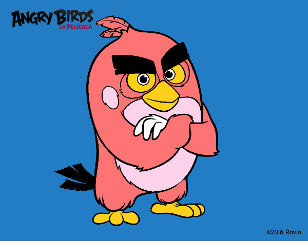 Red de Angry Birds