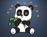 Un oso panda