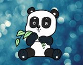 Un oso panda