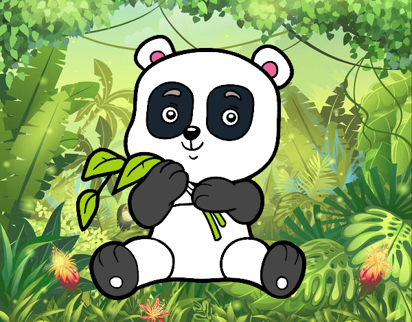 Un oso panda