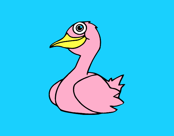 Un pato