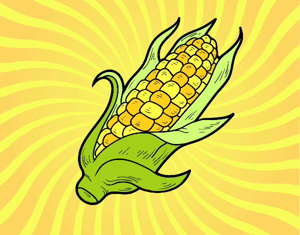Dibujo Una mazorca de maíz pintado por esbetyzz