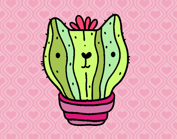 Cactus gato