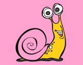 Caracol feliz