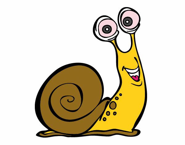 Caracol feliz