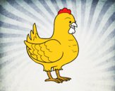 Gallina de una granja