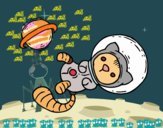 Gatito astronauta