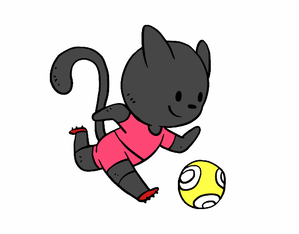 Gato jugando a fútbol