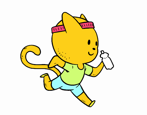 Gato runner