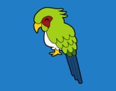 Guacamayo