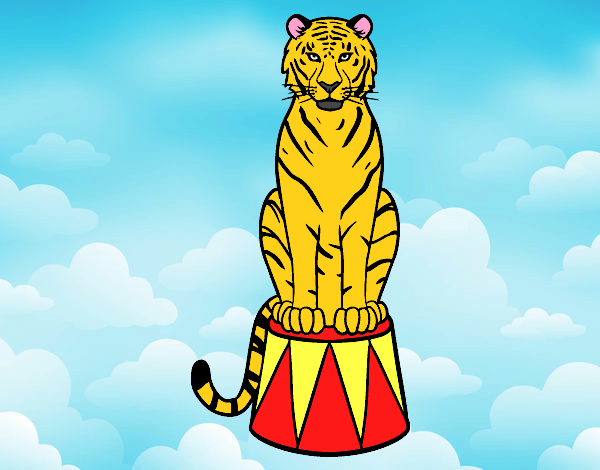 Tigre de circo