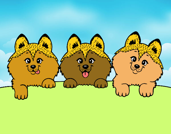 Dibujo 3 perritos pintado por 1lindapao