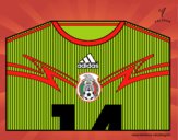 Camiseta del mundial de fútbol 2014 de México