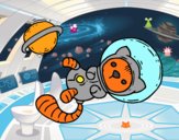 Gatito astronauta