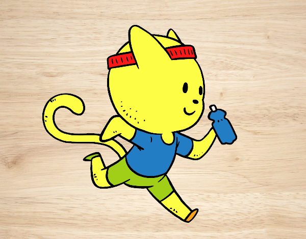 Gato runner