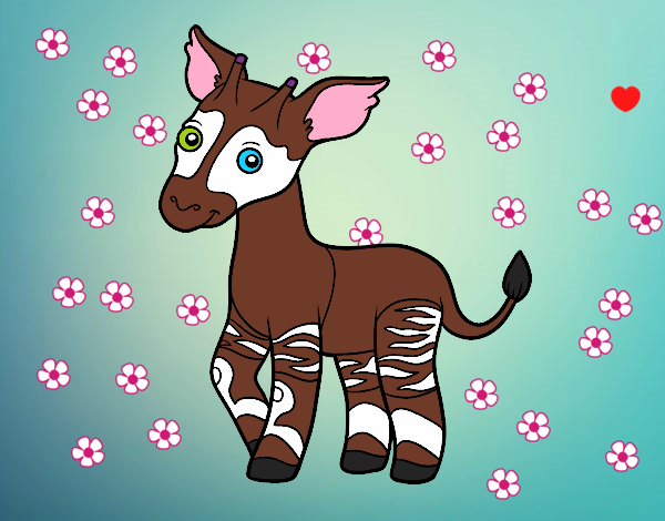 Okapi