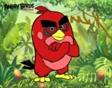 Red de Angry Birds