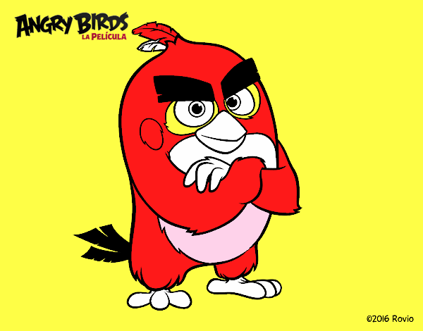 Red de Angry Birds