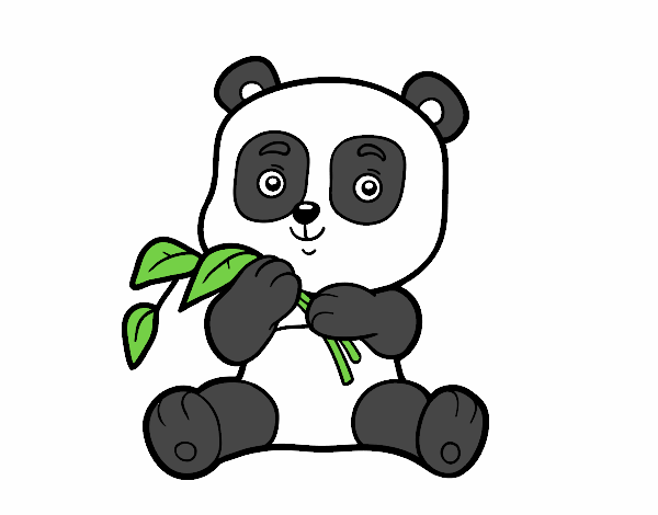Dibujo Un oso panda pintado por fer046
